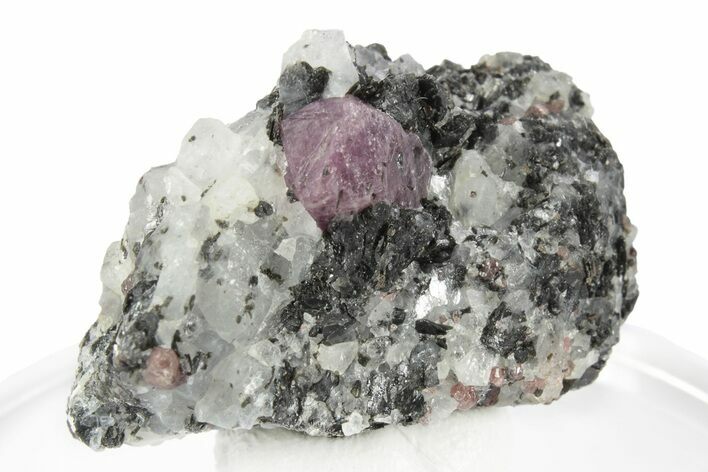 Fluorescent Ruby and Almandine Garnets in Matrix - Russia #247167